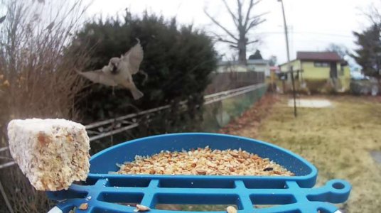 WhatsApp Image 2026-01-16 at 13.13.30.jpeg