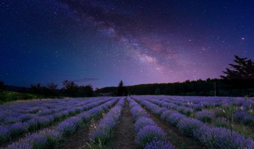 purple milky way.jpg