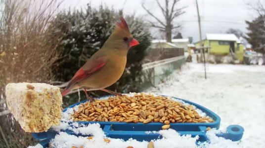 WhatsApp Image 2026-01-17 at 14.22.02 (4).jpeg