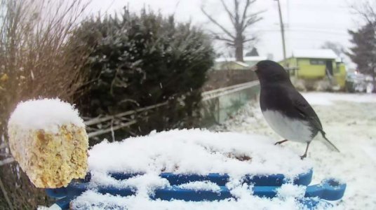 WhatsApp Image 2026-01-17 at 14.22.02.jpeg