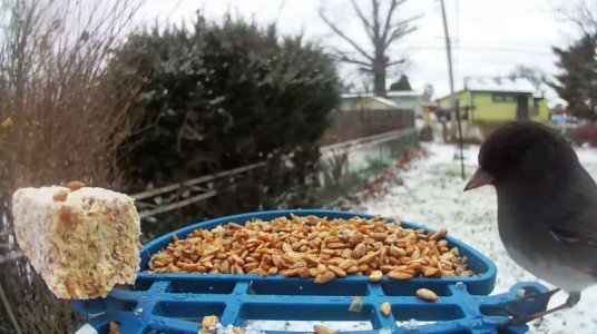 WhatsApp Image 2026-01-17 at 14.22.02 (2).jpeg