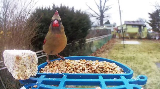 WhatsApp Image 2026-01-17 at 14.22.01.jpeg