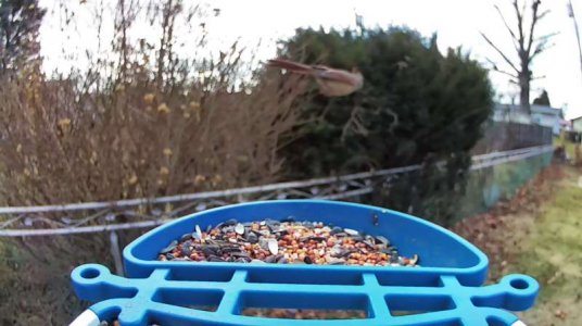 WhatsApp Image 2026-01-17 at 14.22.02 (5).jpeg