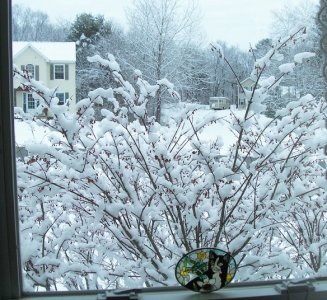 snow Jan 18 2026.jpg