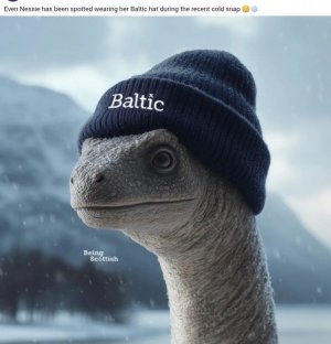 IMG_20260118_140856.jpg IMG_20260118_140856.jpg