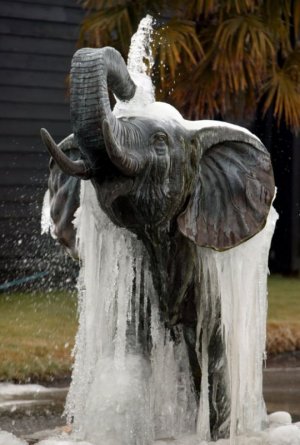 4cccb91c8329aea0c781c1736160fd00.jpg 4cccb91c8329aea0c781c1736160fd00.jpg