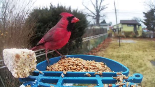 WhatsApp Image 2026-01-18 at 14.11.50 (1).jpeg