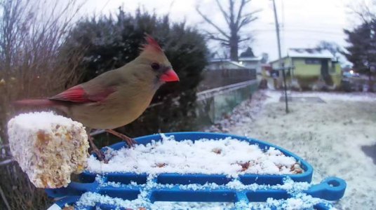 WhatsApp Image 2026-01-18 at 14.11.51 (1).jpeg