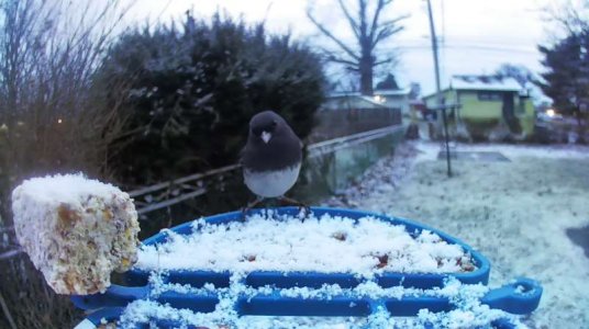 WhatsApp Image 2026-01-18 at 14.11.51.jpeg