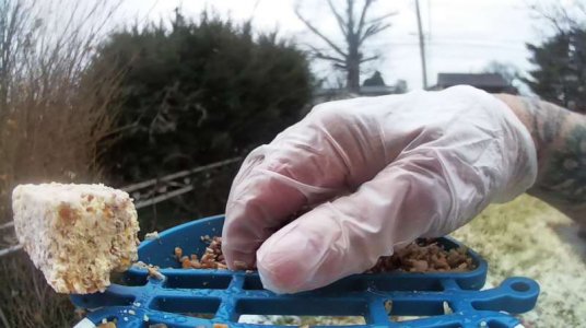 WhatsApp Image 2026-01-18 at 14.11.50 (2).jpeg