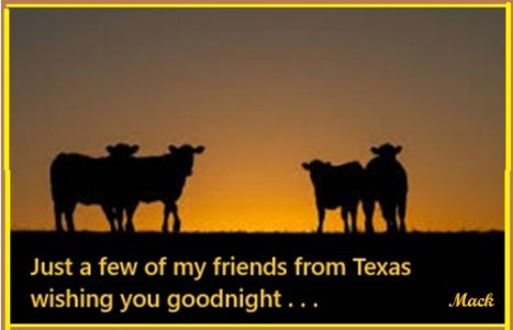 night 07 29 25 and 01 18 26.jpg