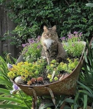 1000006831.jpg 1000006831.jpg