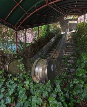 green abandoned escalator.jpg