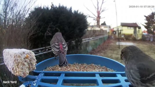 WhatsApp Image 2026-01-19 at 07.43.30.jpeg