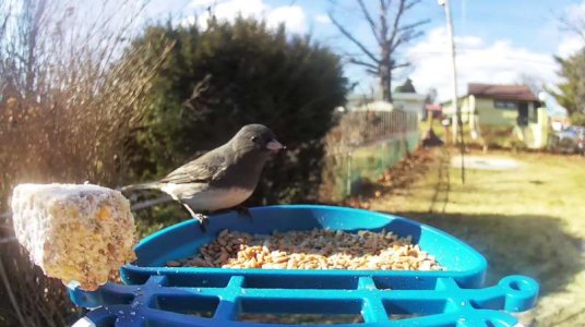 WhatsApp Image 2026-01-19 at 12.48.52.jpeg