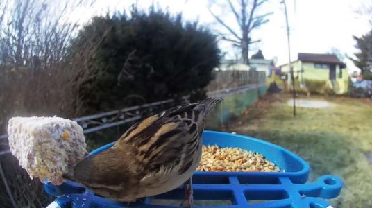 WhatsApp Image 2026-01-19 at 12.48.54.jpeg