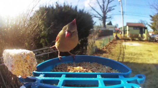 WhatsApp Image 2026-01-19 at 19.08.02.jpeg