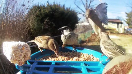 WhatsApp Image 2026-01-19 at 19.08.03.jpeg