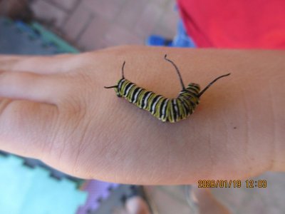 IMG_5311.JPG IMG_5311.JPG