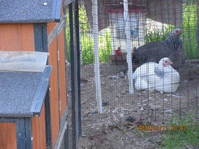 IMG_5214.JPG IMG_5214.JPG