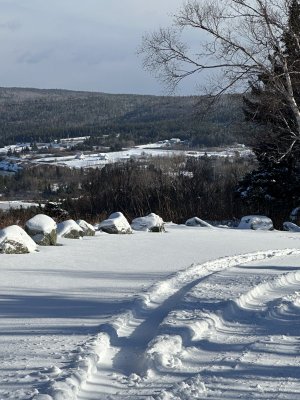 IMG_2197.jpeg IMG_2197.jpeg