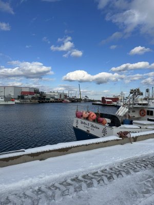 IMG_2198.jpeg IMG_2198.jpeg