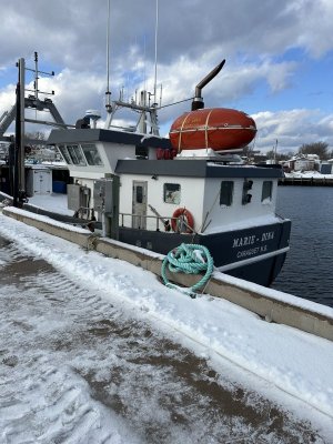 IMG_2200.jpeg IMG_2200.jpeg