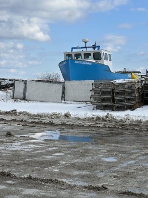 IMG_2204.jpeg IMG_2204.jpeg