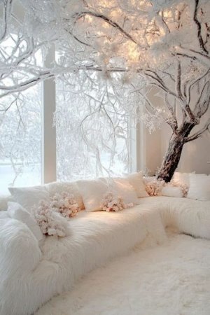 white winter home.jpg