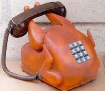 phone turkey.jpg