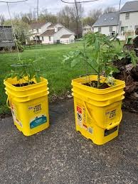 1768950441934.jpeg 1768950441934.jpeg