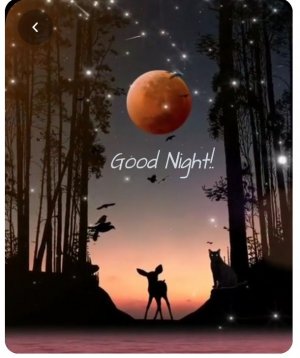 Good night 5.jpg