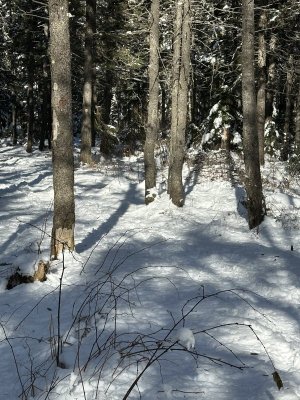 IMG_2212.jpeg IMG_2212.jpeg