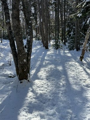 IMG_2213.jpeg IMG_2213.jpeg