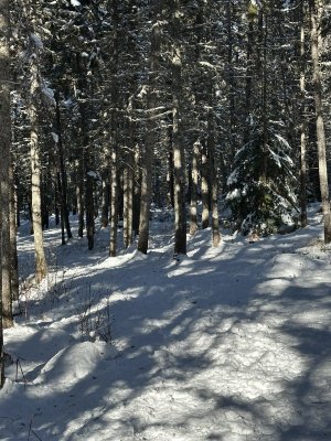 IMG_2214.jpeg IMG_2214.jpeg