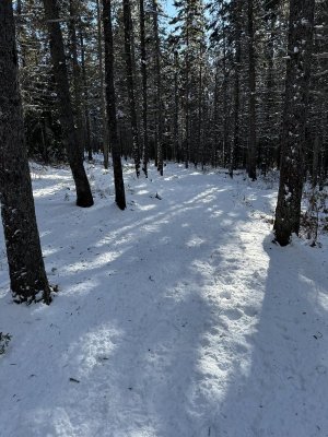 IMG_2215.jpeg IMG_2215.jpeg