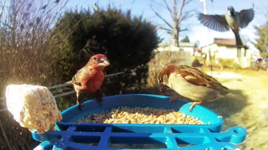 WhatsApp Image 2026-01-20 at 13.31.27 (4).jpeg