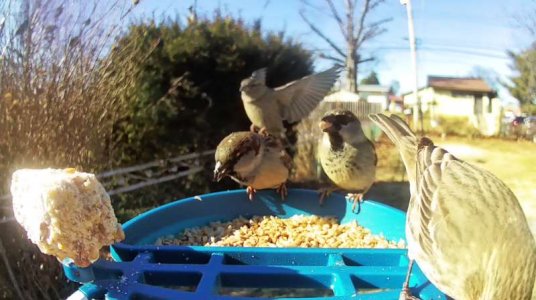 WhatsApp Image 2026-01-20 at 13.31.27 (3).jpeg