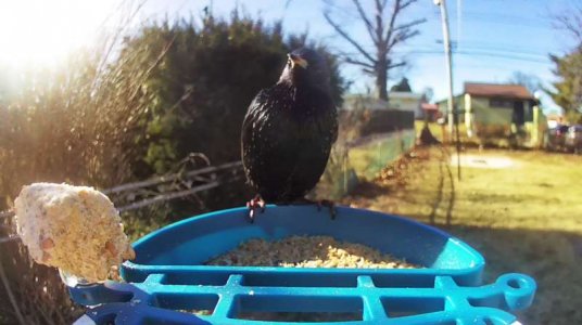 WhatsApp Image 2026-01-20 at 13.31.27 (1).jpeg