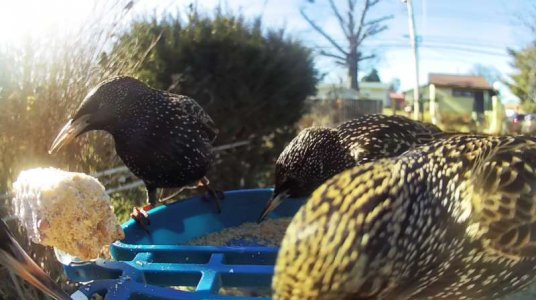 WhatsApp Image 2026-01-21 at 14.26.44 (2).jpeg