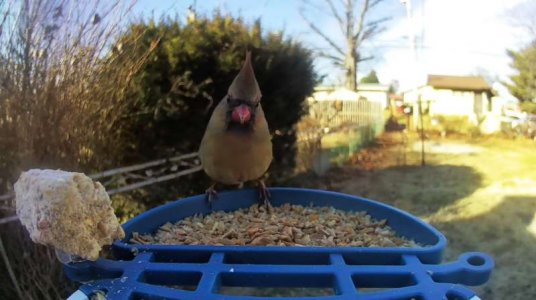 WhatsApp Image 2026-01-21 at 14.26.42.jpeg