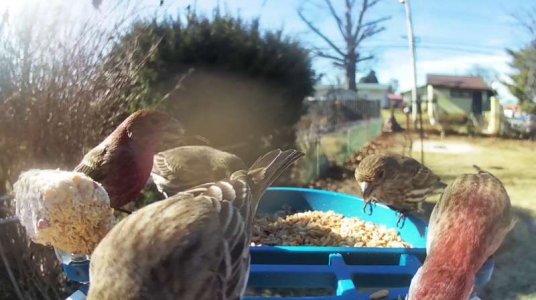 WhatsApp Image 2026-01-21 at 14.26.41 (2).jpeg