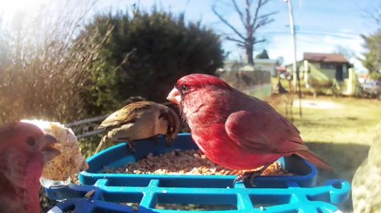 WhatsApp Image 2026-01-21 at 14.26.41 (1).jpeg