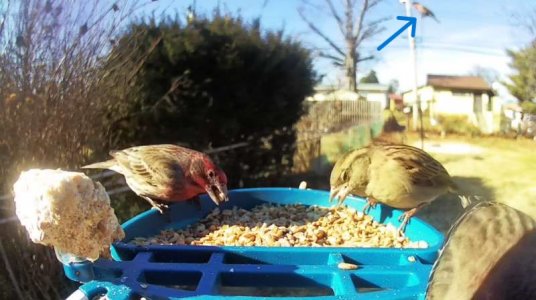 WhatsApp Image 2026-01-21 at 16.52.01.jpeg