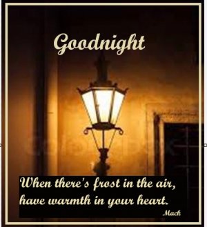 night 09 28 25 and 01 21 26.jpg