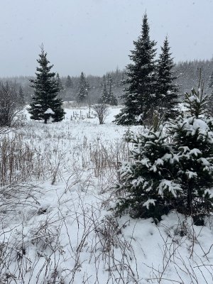 IMG_2235.jpeg IMG_2235.jpeg