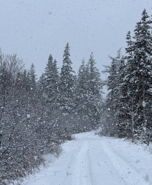 IMG_2229.jpeg IMG_2229.jpeg