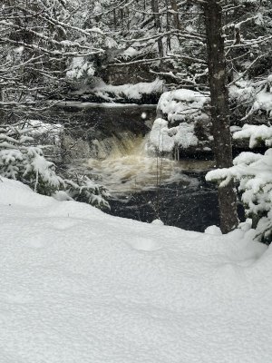 IMG_2227.jpeg IMG_2227.jpeg