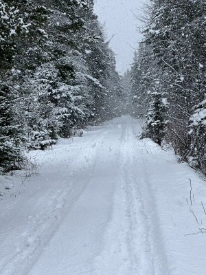 IMG_2230.jpeg IMG_2230.jpeg