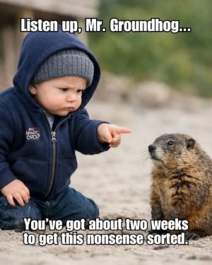 groundhog.jpg